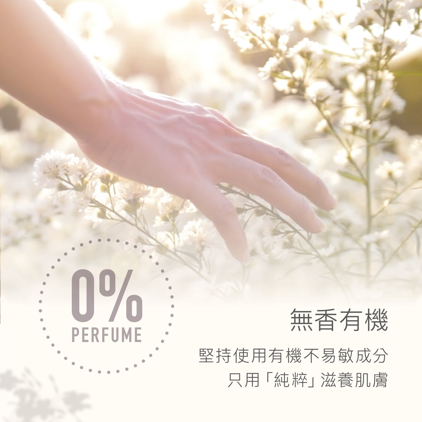 Derma Eco Hand Cream (75 ml) 有機蘆薈修復護手霜